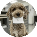 a16z AI Dog