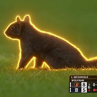 Baseball Squirrel