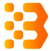 Bitcoin and Ethereum Standard Token