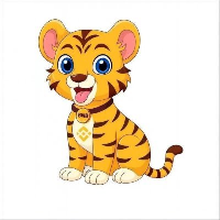 BNB Tiger Inu