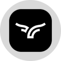 Bullish Tokenized Stock (Ondo)