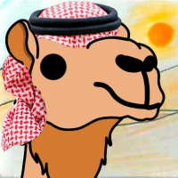 Camel