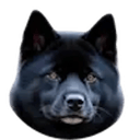 Caw Dogs