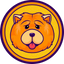 Chow Chow BSC