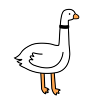 Coinbird