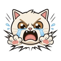 CRASH CAT