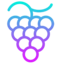 Grape Protocol
