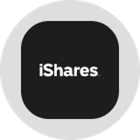 iShares Bitcoin Trust Tokenized Stock (Ondo)