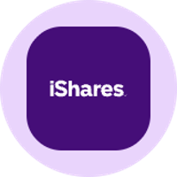 iShares China Large-Cap Tokenized ETF (Ondo)