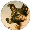 Laika Coin