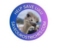 Lulu the Ostrich