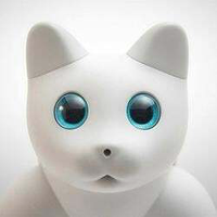 火星仿生猫