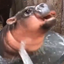 Moo Wan