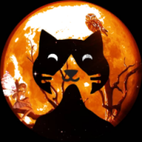 MoonKat Finance