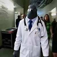 Pigeon Doctor