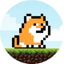PlayDoge