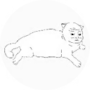 retarded cat coin