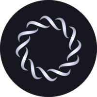 RING Financial
