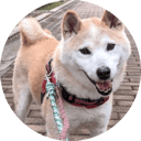 Rintaro