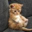 sadbutcute