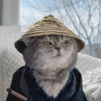 Samurai Cat 
