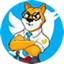 SHIB CEO