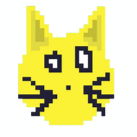 Solana Cat