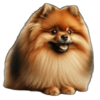 SpitzCoin