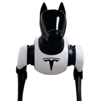 Tesla Dog