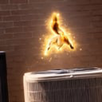 the flying squirrel