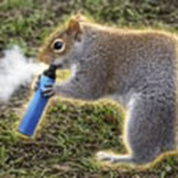 The Vaping Squirrel