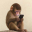 apeonfone
