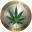 CannabisCoin