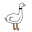 Coinbird