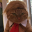 DONALDCAT