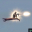 Flying Magic Carpet
