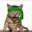 Green Kitten Crew