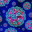 Hantavirus