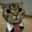 MarketCat