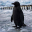 The Black Penguin