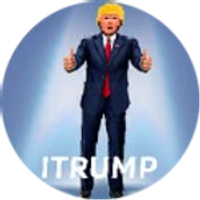 Trump Cards Fraction Token