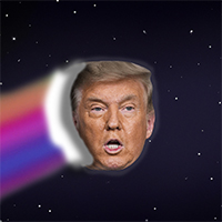 Trump Coin Winner