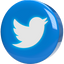 Twitter Bird