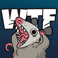 WTF Opossum